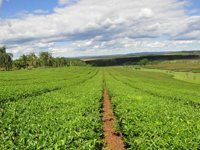 Productos argentinos obtienen sello de calidad para exportar