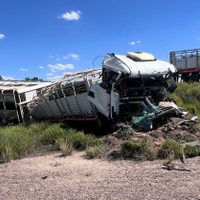 Volcó un camión con 65 vacas en Las Catitas