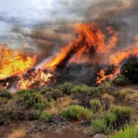 En una localidad neuquina: la caída de un rayo provocó un gran incendio
