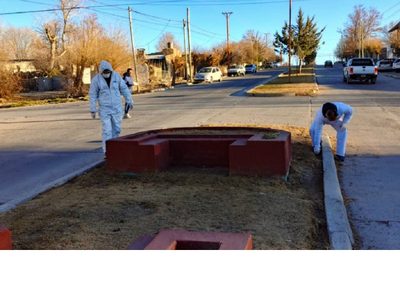 Investigan envenenamiento masivo de perros en una plaza de Zapala