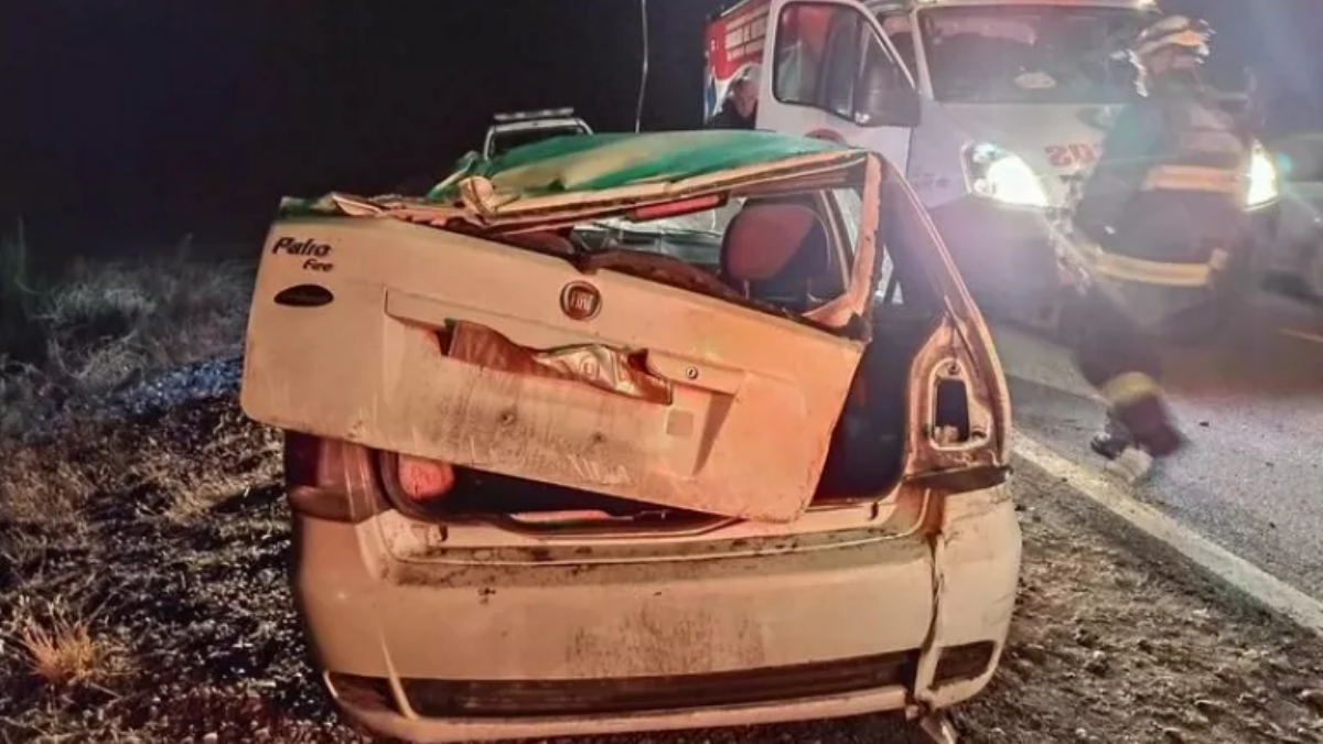 Impactó contra un animal suelto. Fuente: (Diario Andino)