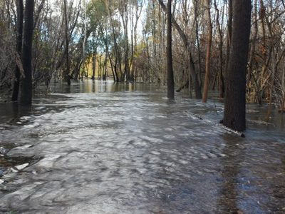 Organismos provinciales realizan guardias ante el temporal y por la posible crecida del río Neuquén