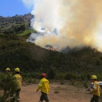 Cómo sigue el incendio forestal en Aluminé: trabajan más de ochenta brigadistas en la zona