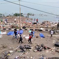 Un deslizamiento de tierra provocó un enorme tsunami en Alemania