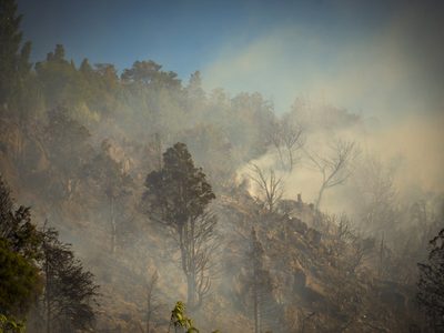 Advierten de riesgo extremo de incendio en San Martín de los Andes