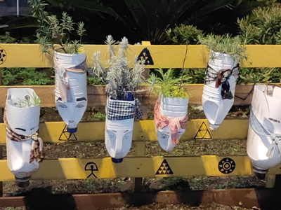 Con los frascos de mermelada, podés armar un hermoso jardín vertical en tu propia casa