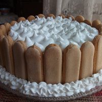 Tiembla la chocotorta: torta fría de chocolate y vainillas, sin horno, una delicia que es una bomba
