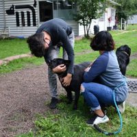 En el Día Mundial del Perro, el Metro tiene a 19 en adopción