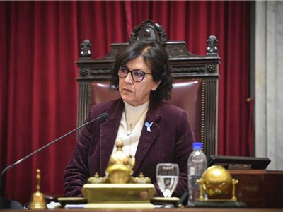 Silvia Sapag celebró la aprobación definitiva de la Ley nacional de Emergencia en Discapacidad