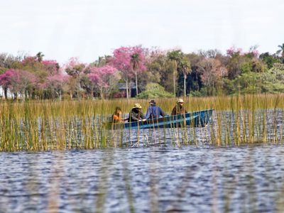 Turismo de naturaleza: el Parque Nacional Iberá vuelve a recibir viajeros