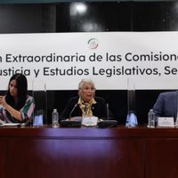Comisiones del Senado aprueban que Sedena controle la Guardia Nacional