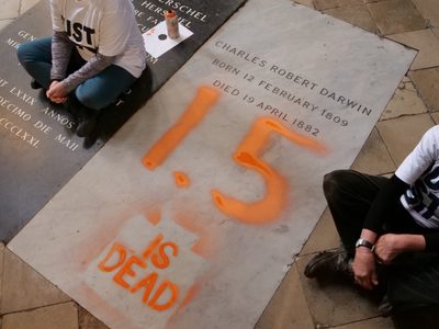 Activistas climáticos vandalizan la tumba de Darwin en la abadía de Westminster en Londres (Video)