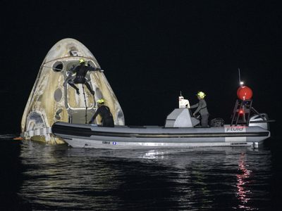 Sanos y salvos: los 4 astronautas de SpaceX están de vuelta en la Tierra
