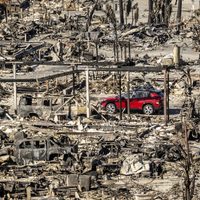 Aumenta a 24 el número de muertos por incendios en Los Ángeles; bomberos intentan acorralarlos