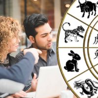 Para trabajar mejor: cuáles son los compañeros ideales para cada signo del Horóscopo chino