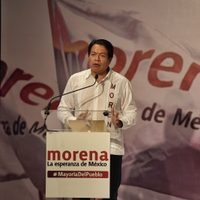Candidato presidencial de Morena será elegido por encuesta: Delgado