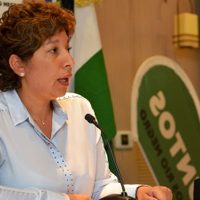 Carreras afirmó que para aplacar el coronavirus "el camino es testear mucho"