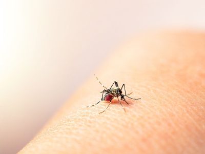 El Ministerio de Salud anunció el inicio de la vacunación contra el dengue