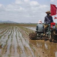 Alarma en Asia por una posible crisis alimentaria en Corea del Norte