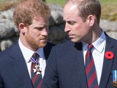 ¡Con razón! Netflix despertó la ira del Príncipe Harry y el Príncipe William
