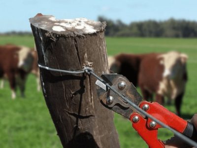 La Sociedad Rural del Neuquén renueva su preocupación ante hechos de inseguridad