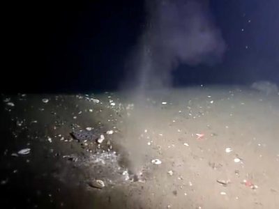 Grieta podría provocar terremoto de magnitud 9; esto dicen los científicos
