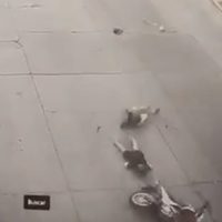 Un motociclista murió degollado tras chocar con una soga que estaba atravesada en la calle
