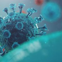 Uno de Villa La Angostura: 9 casos confirmados de coronavirus en Neuquén