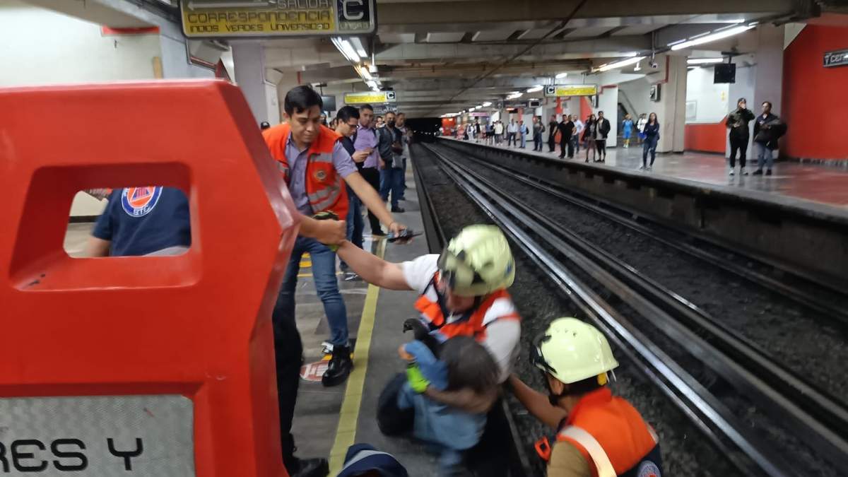 El rescate de la gallina