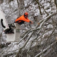 Fuerte tormenta invernal amenaza la costa este de Estados Unidos