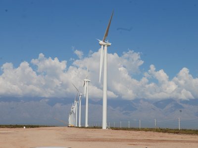 Los directivos de la Cámara Eólica Argentina se reunieron con el subsecretario de Energía Eléctrica