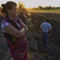INAI ordena a Pemex a revelar datos de la explosión de Tlahuelilpan