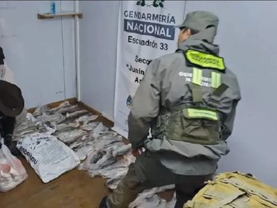 Gendarmes incautaron 49 truchas arco iris a pescadores furtivos en Junín de los Andes