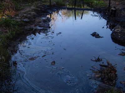 Marginación y daño ecológico, la huella de Florentino Pérez en Veracruz