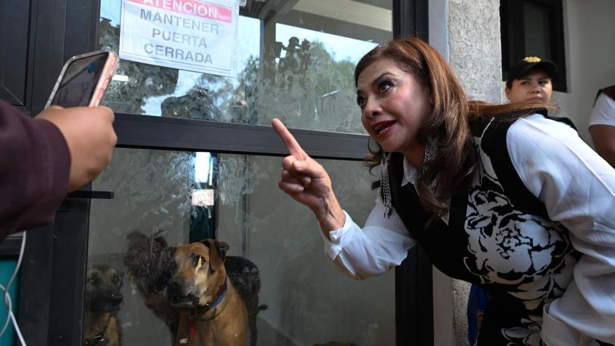 Brugada asegura que perros resguardados en la Utopía GAM se encuentran en condiciones adecuadas