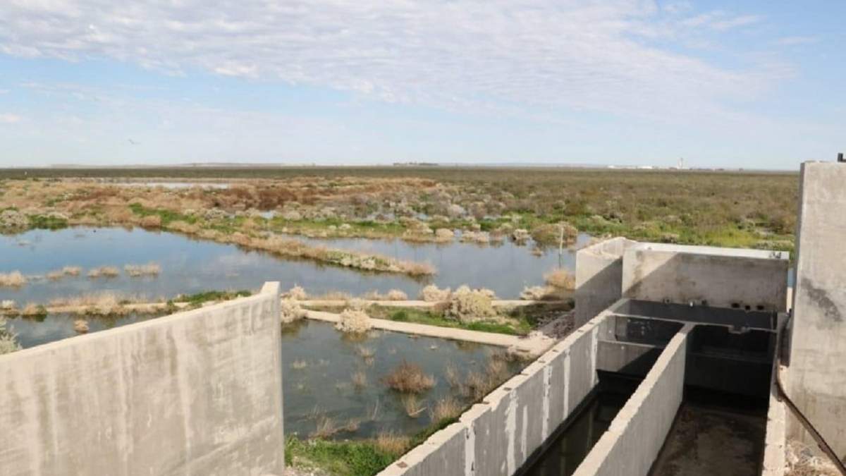 Las comunidades denunciantes son las Lof Puel Pvjv y del Lof Newen Mapu de la zona de la meseta de la Colonia Rural Nueva Esperanza.
