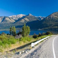 Asombroso: por la cuarentena, los animales silvestres se apoderaron de Bariloche