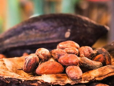 Día Mundial del Cacao: beneficios médicos y riesgos por metales en el chocolate oscuro