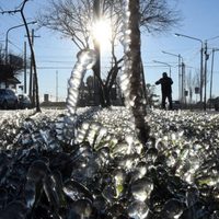 Clima en Neuquén: el miércoles tendrá heladas intensas y viento en varias ciudades