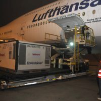 Argentina recibió un nuevo lote con vacunas de Sinopharm