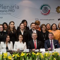 El PRD confirma su Consejo Nacional para el 3 de septiembre