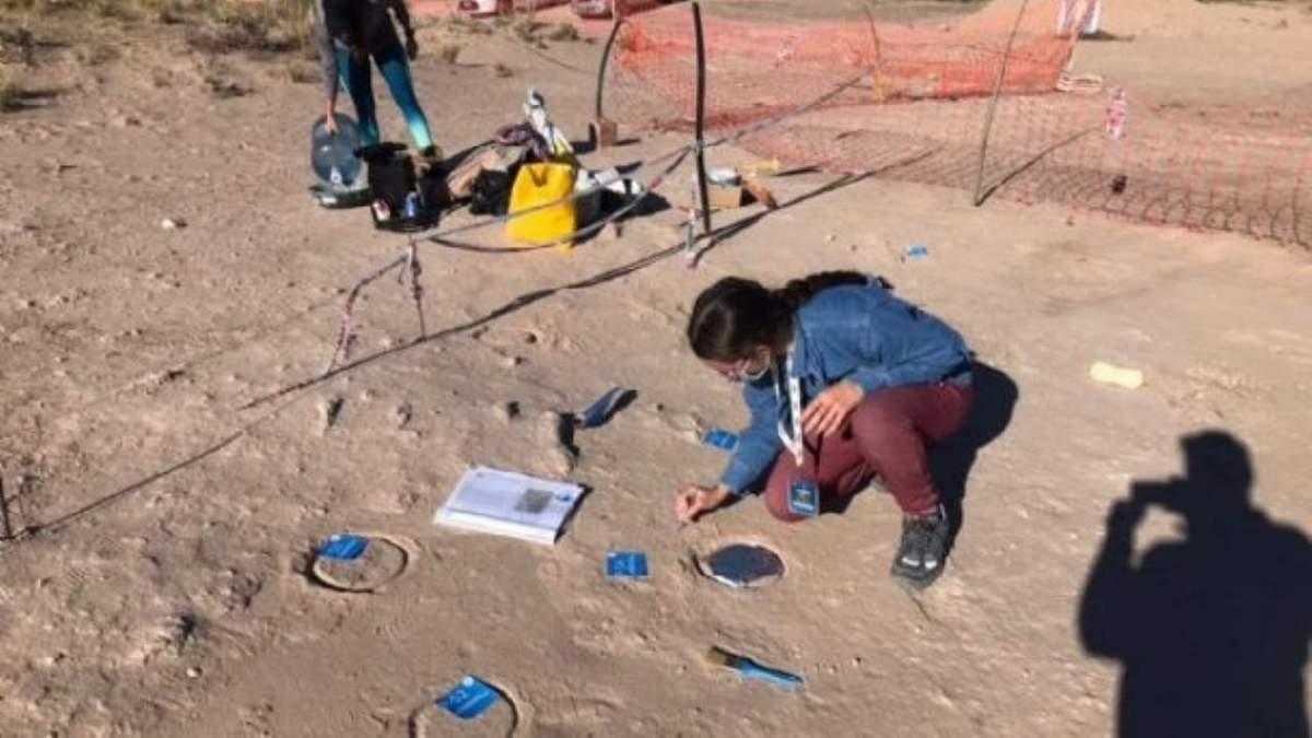Trabajo en campo del equipo de paleontólogos de la UNCo. Fuente: (Facebnook).