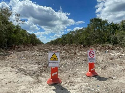 Nunca se quejaron por Xcaret y concesión a empresa de EU: AMLO ante críticas de daños por Tren Maya