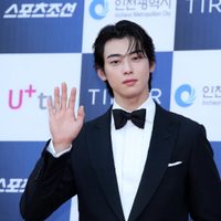 Imposible no ver: las fotos de Cha Eun Woo que revelaron su lado más fresco y natural