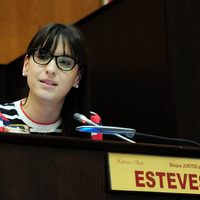 Ingresos brutos para pymes: buscan prorrogar la vigencia de la ley de Estabilidad Fiscal hasta 2027