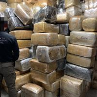 La FGR asegura más de 9 toneladas de mariguana en un domicilio de Tijuana