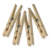 Si tenés broches rotos y una lata vacía, no los tires: creá esta divina idea para decorar tu casa sin gastar
