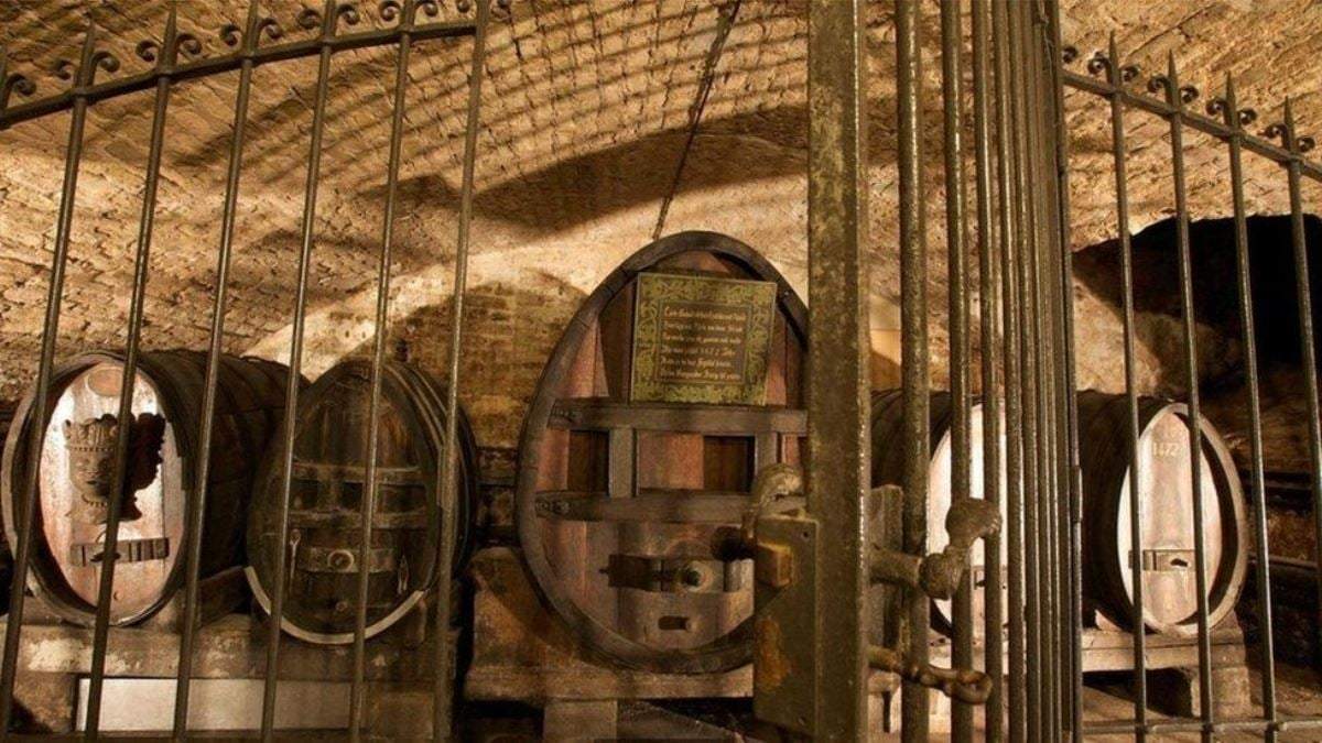 Vinos para curar, Fuente: (Instagram)