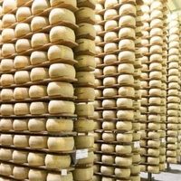 Muere un hombre de 74 años en Italia tras quedar sepultado por más de 15 mil quesos