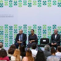 Nuevo plan de contingencia ambiental restringirá circulación a autos con '0” y '00”
